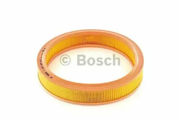Bosch Automotive 1457429819 Bosch S9819 Filtre à air